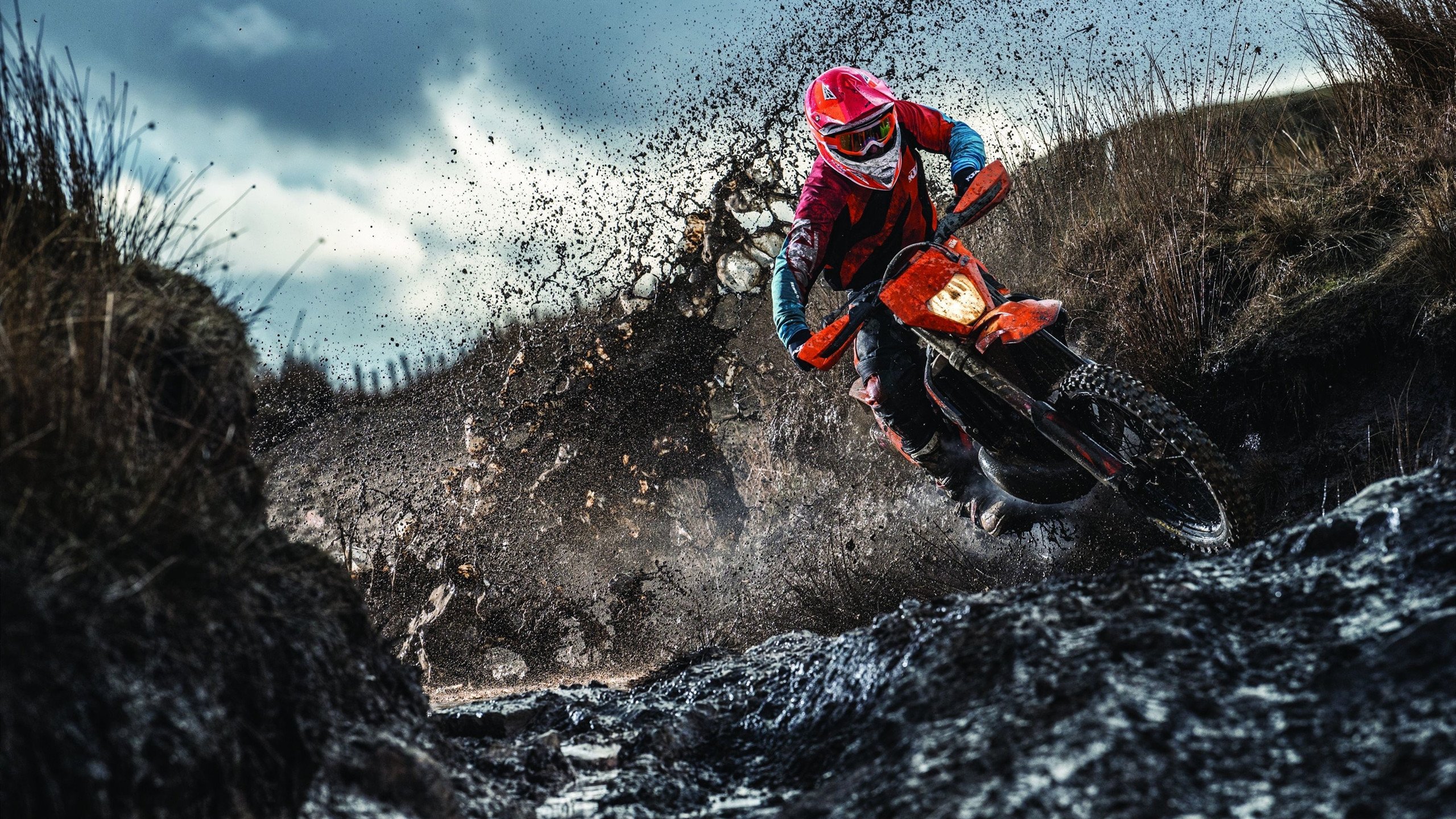 让我先为你拟定一个能抓住这种戏剧冲突的标题,再展开文章